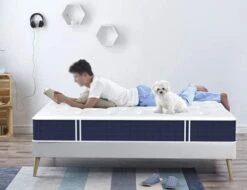 Twin XL Mattress, 10 Inch Twin XL Size Hybrid Mattress, Individual Pocket Springs With Memory Foam, Bed In In A Box, Cooler Sleep With Pressure Relief And Support -Delta Children Shop 41XeNUxU0OS