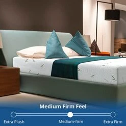 Queen Size Mattress In A Box, 10 Inch Bed Mattresses Made In USA With Breathable Bamboo Cover, Cooling Gel Green Tea Memory Foam, Medium Firm (10IN-MDR-Queen) -Delta Children Shop 41geJLWFR5L