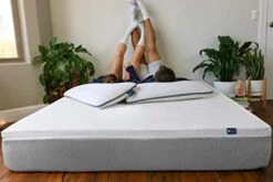 100% Natural Latex Mattress Topper - Medium Firmness - 2 Inch - Queen Size - Cotton Cover Included. -Delta Children Shop 41xa9aYbIaL
