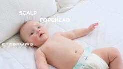 Mustela Baby Cradle Cap Bundle - Natural Baby Shampoo & Cradle Cap Cream - With Natural Avocado - 2 Piece Set 11 Mustela Baby Cradle Cap Bundle - Natural Baby Shampoo & Cradle Cap Cream - With Natural Avocado - 2 Piece Set -Delta Children Shop 51mDeolvr1L